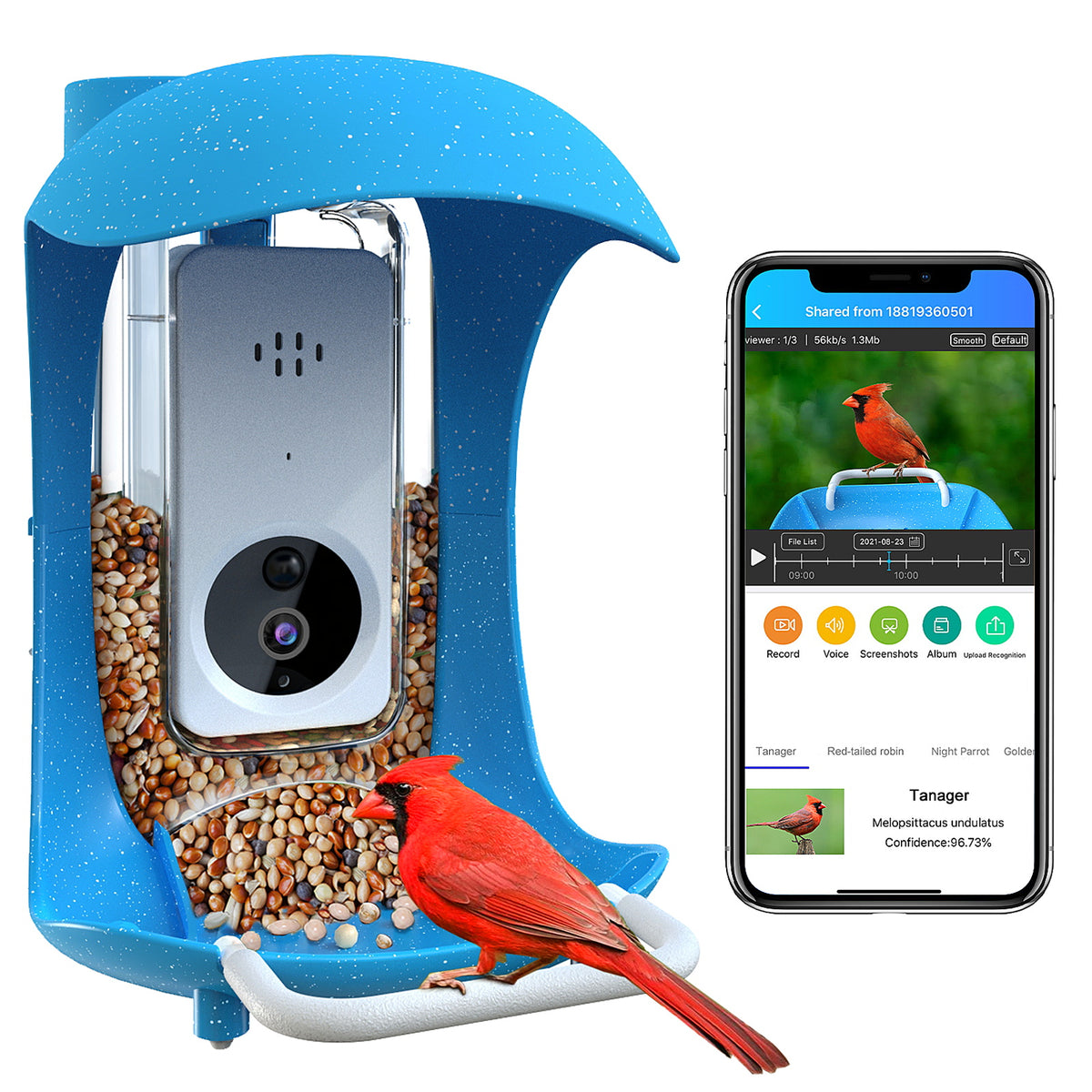 REVIEW: New smart bird feeder with a camera and sleek app