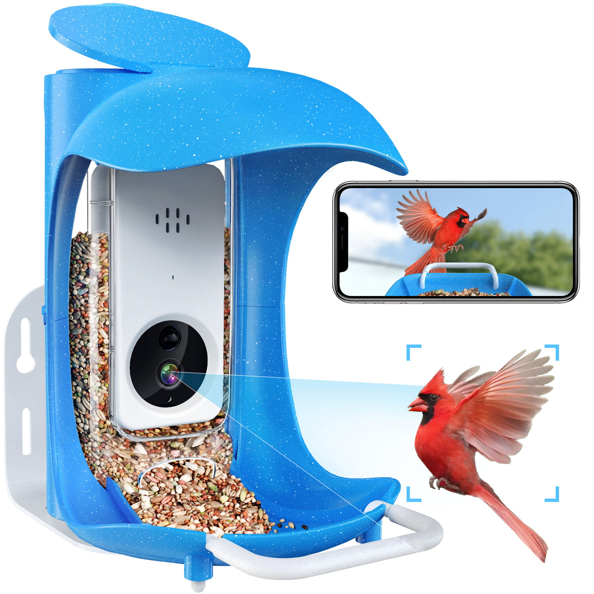 Smart bird feeder snaps bird selfies for collectible game and conservation  tool - CNET