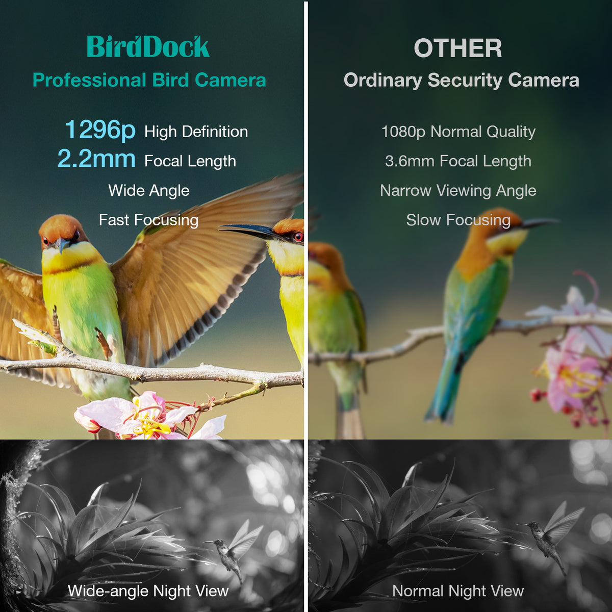 Dokoo Smart Bird Feeder with Camera, 2K Wild Bird Watching Camera