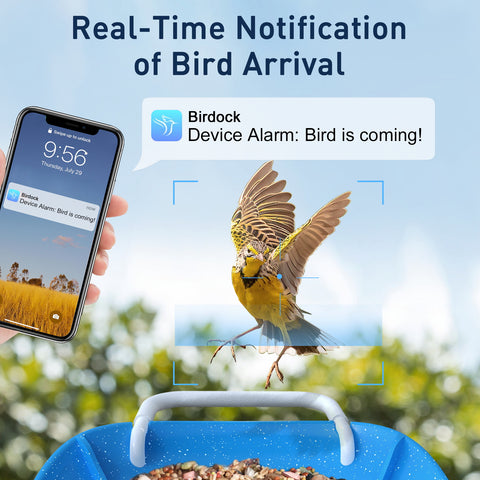 BirdDock Smart Bird Feeder with Camera WiFi APP Install