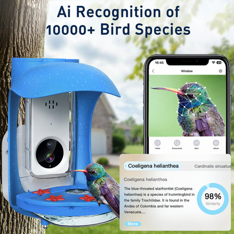 BirdDock Hummingbird Feeder with Camera, Smart Bird Feeder for Hummingbird with APP