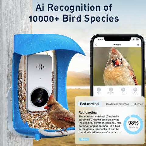 BirdDock Smart Bird Feeder with Camera WiFi APP Install