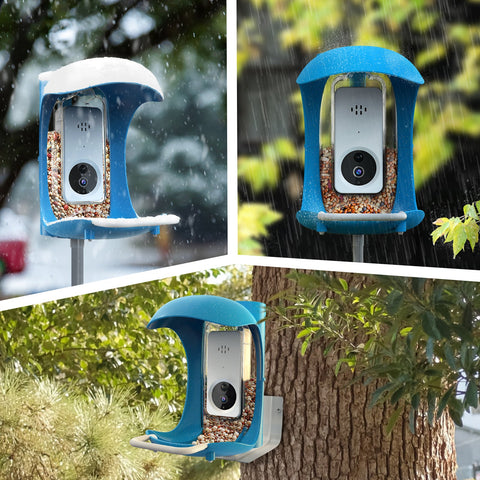Official Refurbished Smart Bird Feeder with Camera WiFi APP Install （No solar holes to link to solar panels）