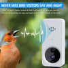 BirdDock smart bird feeder camera replacement