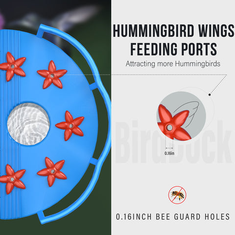 5 Feeding Ports Hummingbird Feeder for Outdoor